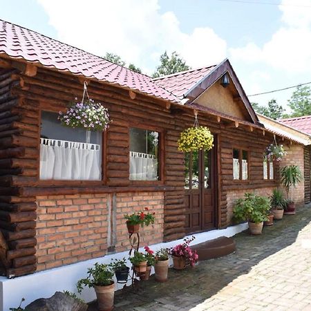 Panorama Lomnica Bed and Breakfast Despotovac Exterior foto