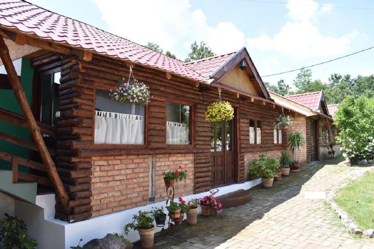 Panorama Lomnica Bed and Breakfast Despotovac Exterior foto