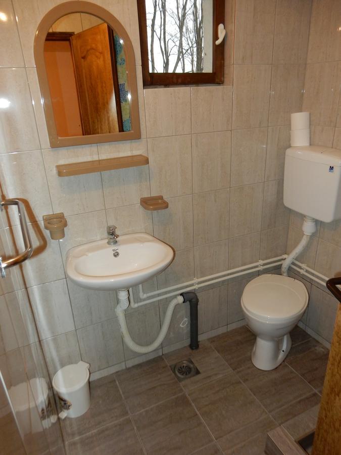 Panorama Lomnica Bed and Breakfast Despotovac Exterior foto
