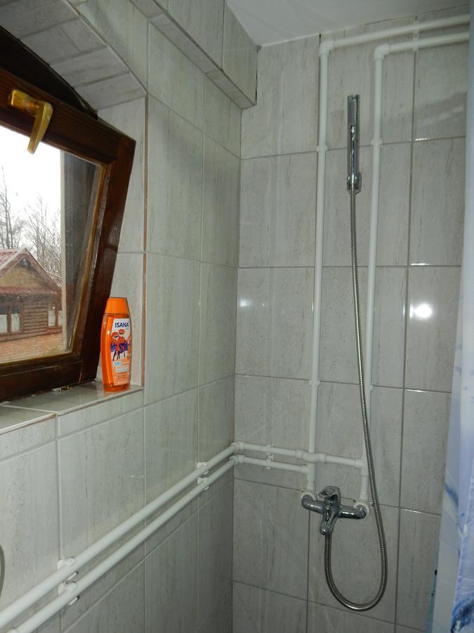 Panorama Lomnica Bed and Breakfast Despotovac Exterior foto