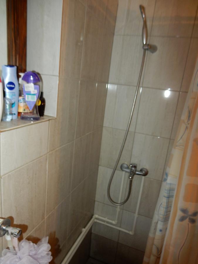 Panorama Lomnica Bed and Breakfast Despotovac Exterior foto
