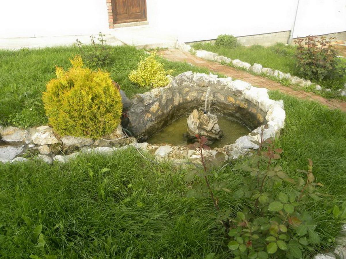 Panorama Lomnica Bed and Breakfast Despotovac Exterior foto