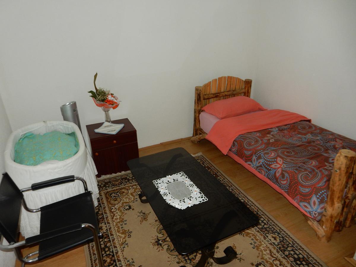 Panorama Lomnica Bed and Breakfast Despotovac Exterior foto