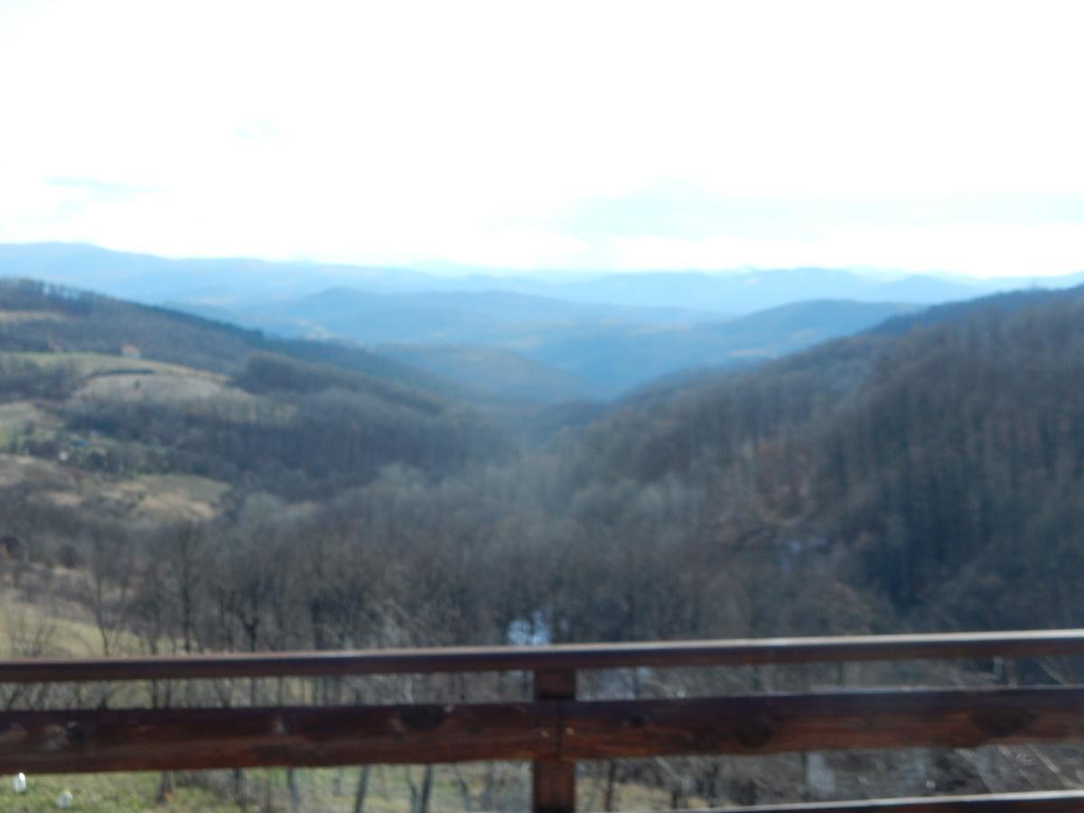 Panorama Lomnica Bed and Breakfast Despotovac Exterior foto