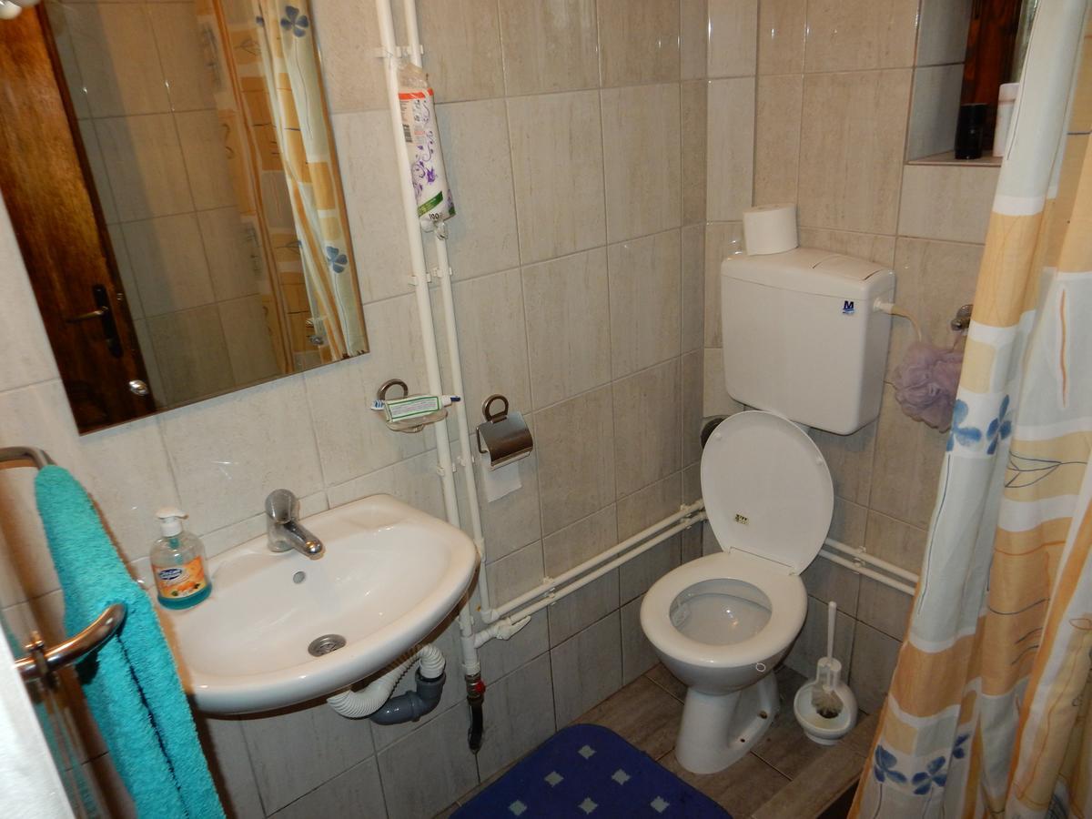 Panorama Lomnica Bed and Breakfast Despotovac Exterior foto